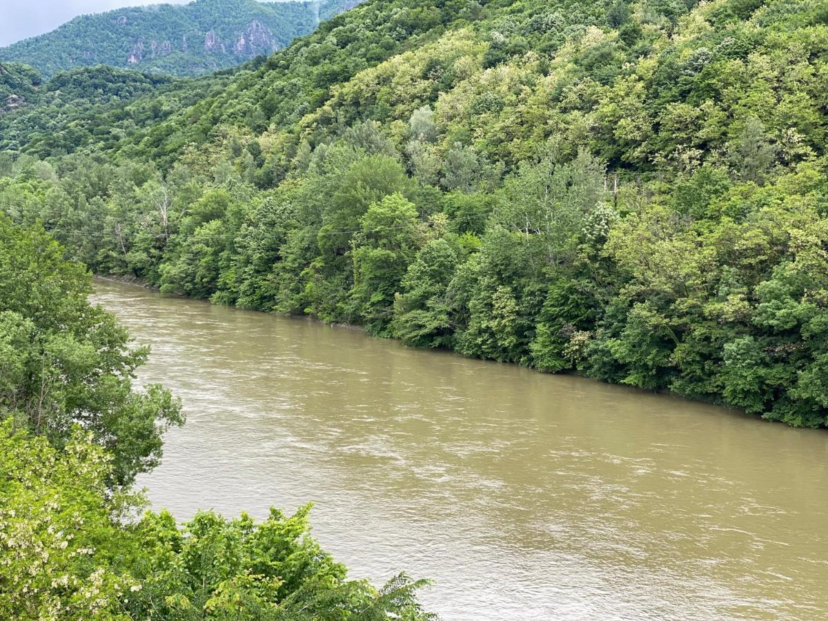 River Hotel & Spa Călimăneşti المظهر الخارجي الصورة